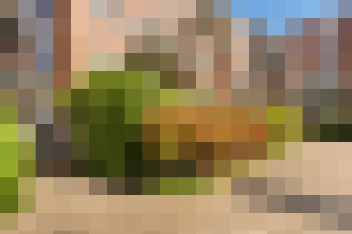  / #20