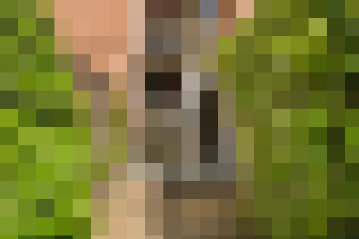  / #21