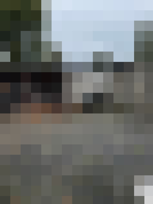  / #15