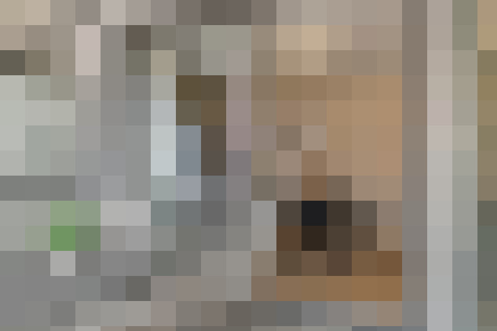  / #17
