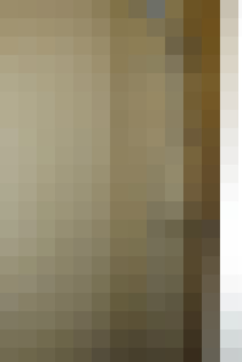  / #19