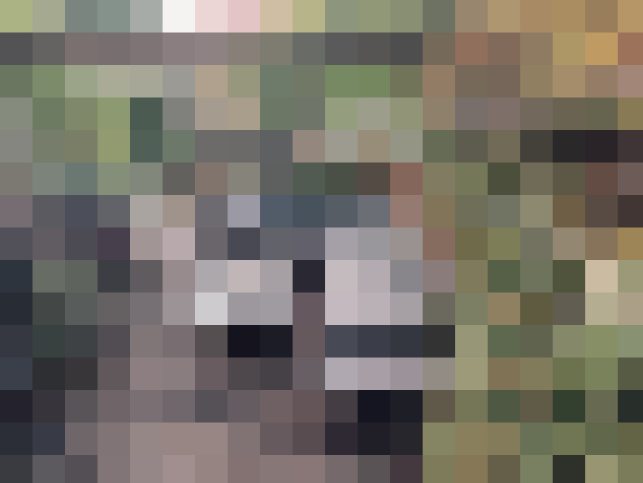  / #14