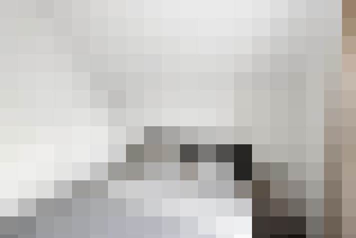  / #20