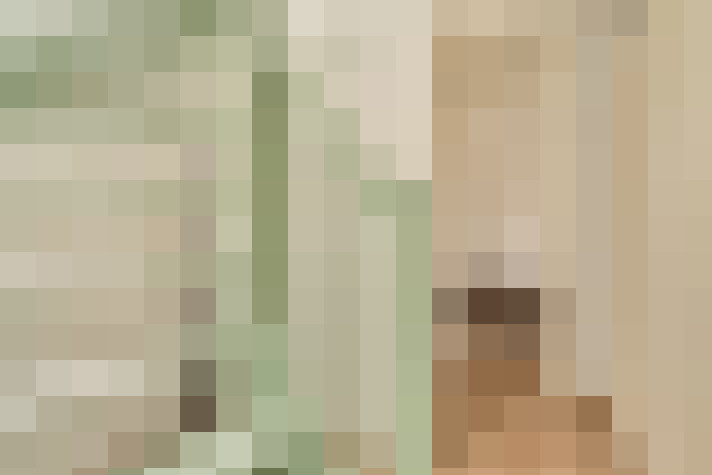  / #21