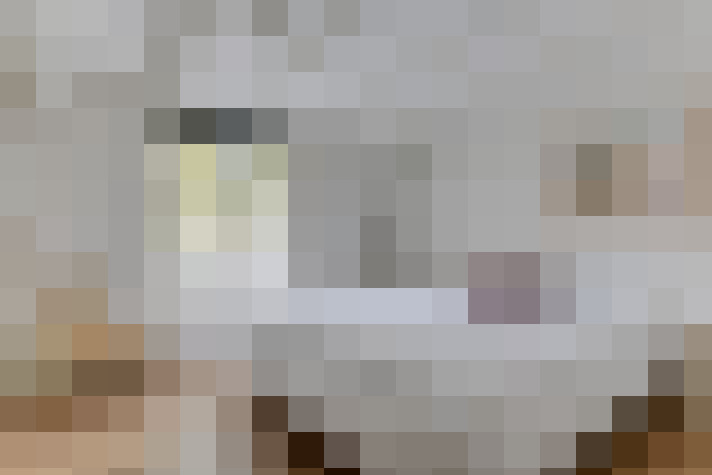  / #14