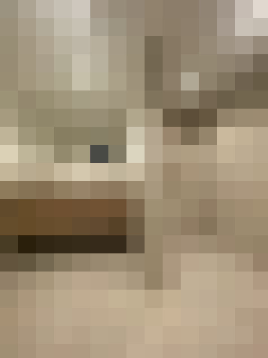  / #14
