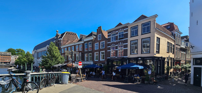 Bekijk foto 1/11 van room in Leiden