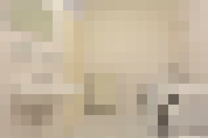  / #14