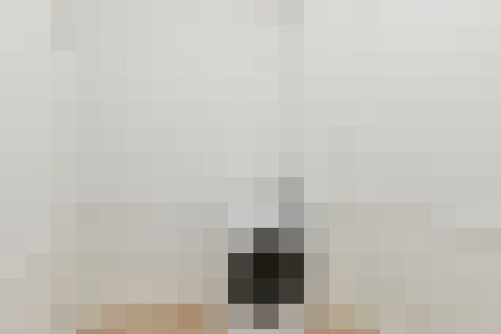  / #19