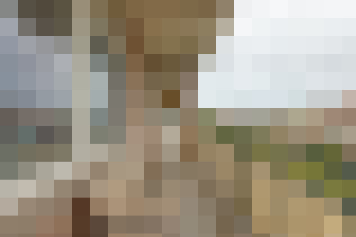  / #20