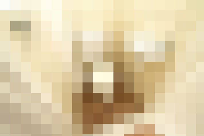  / #19