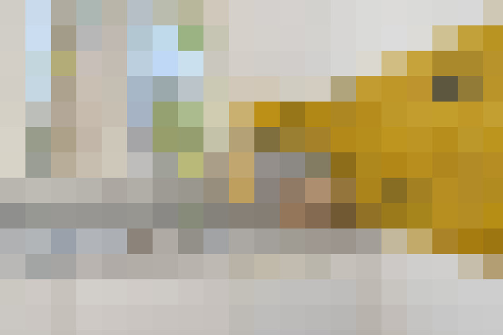  / #17