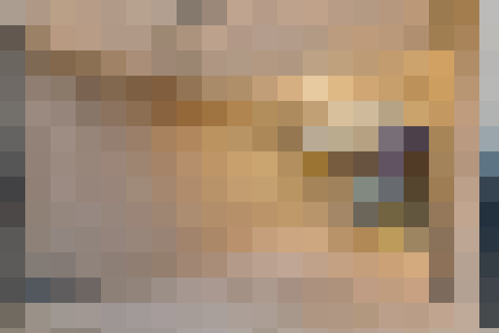  / #23