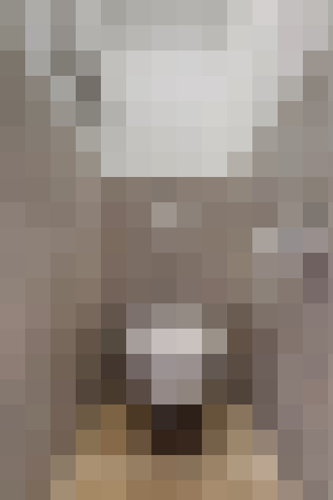  / #15