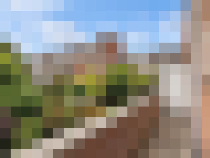  / #16