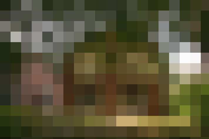 / #14