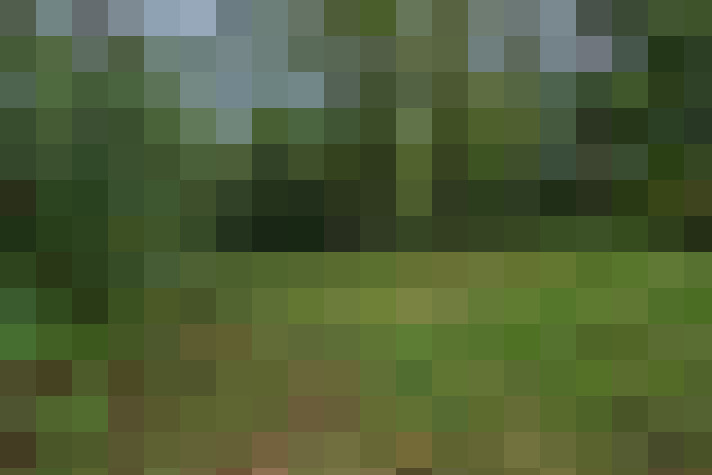  / #15