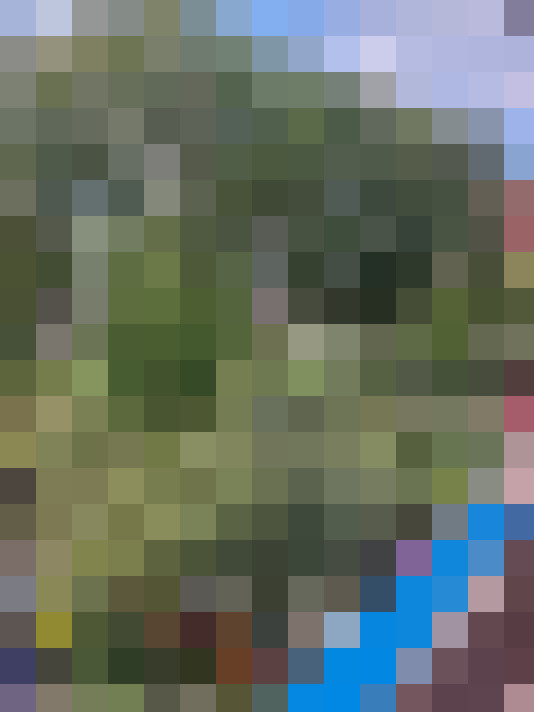  / #17