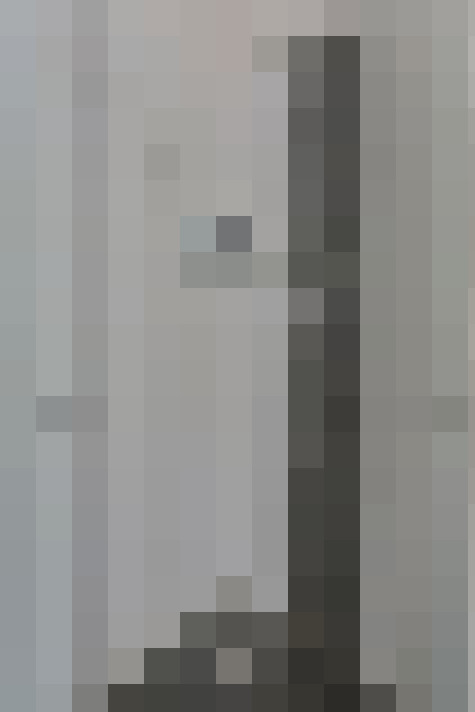  / #19