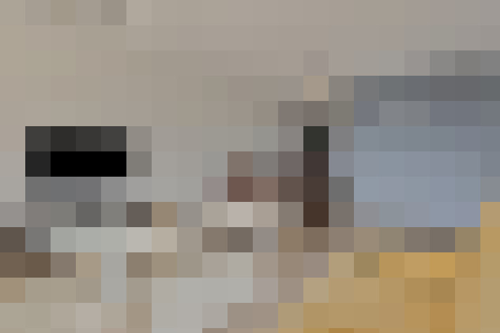  / #24