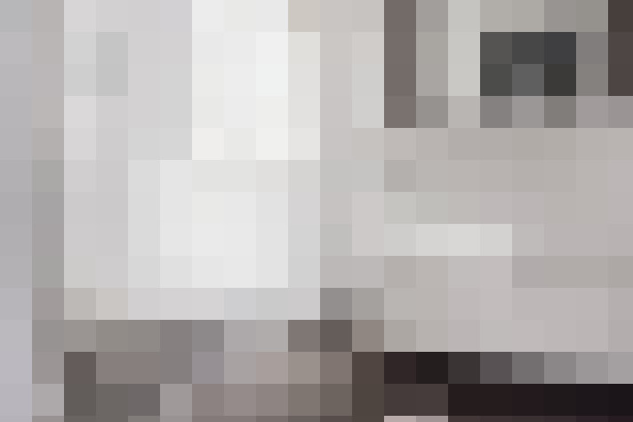  / #16