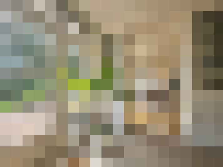  / #15