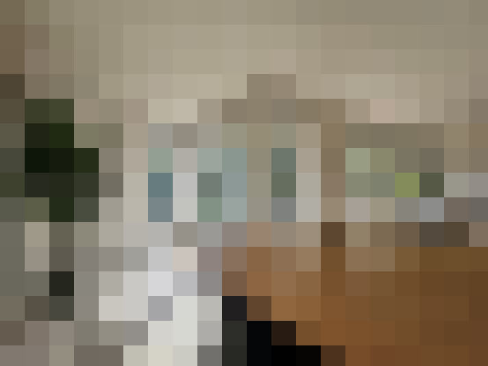  / #14