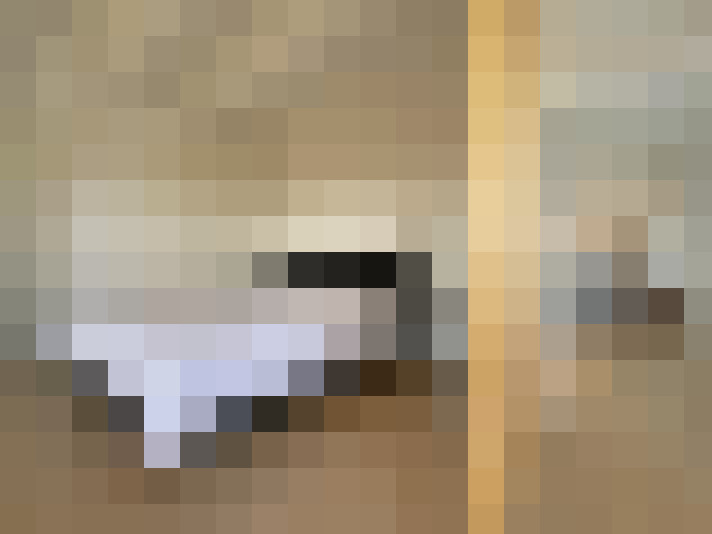  / #24