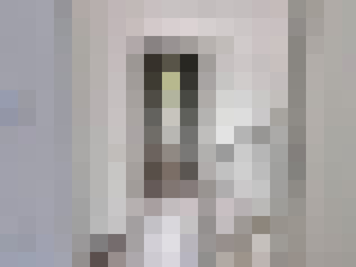  / #11