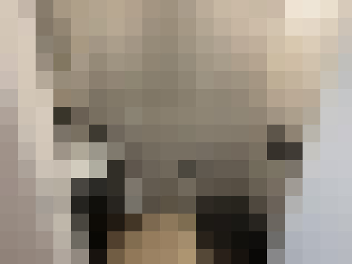  / #15