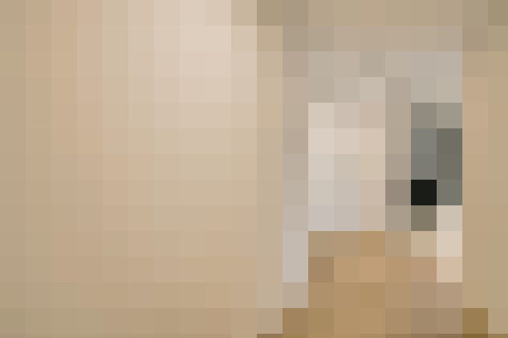  / #12