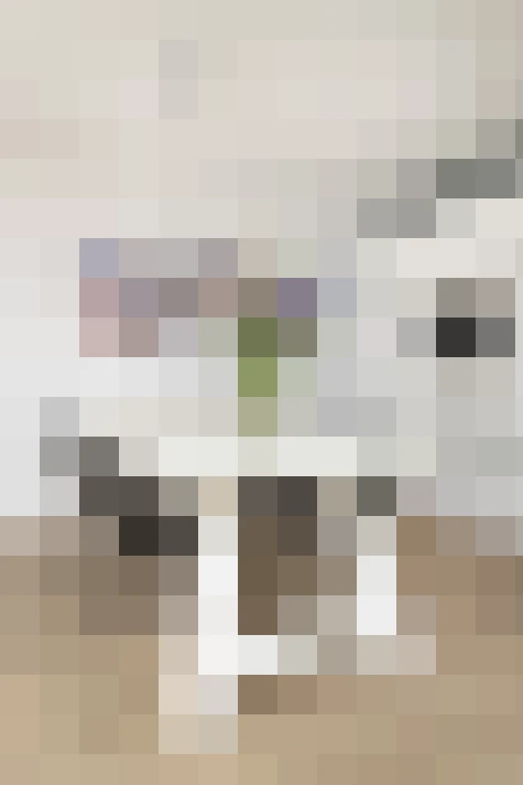  / #18