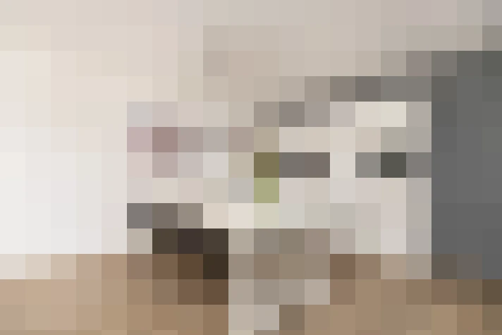  / #17