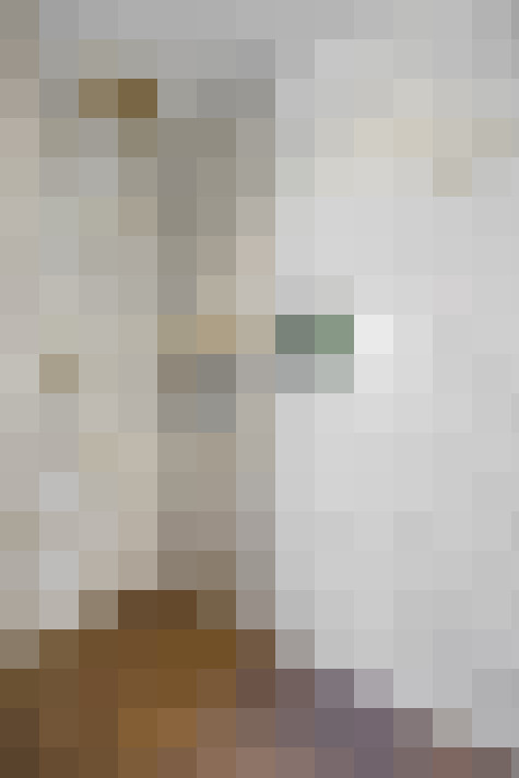  / #21