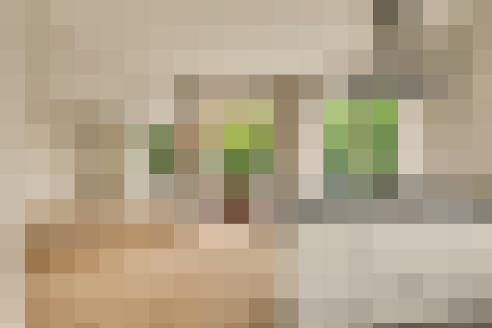  / #17