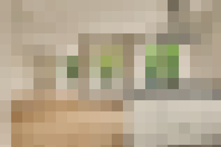  / #16