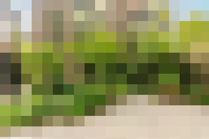  / #20