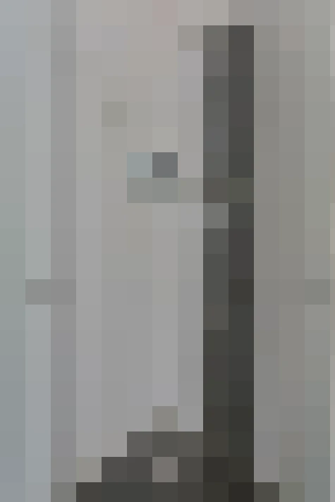  / #19