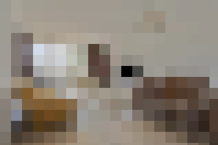  / #21