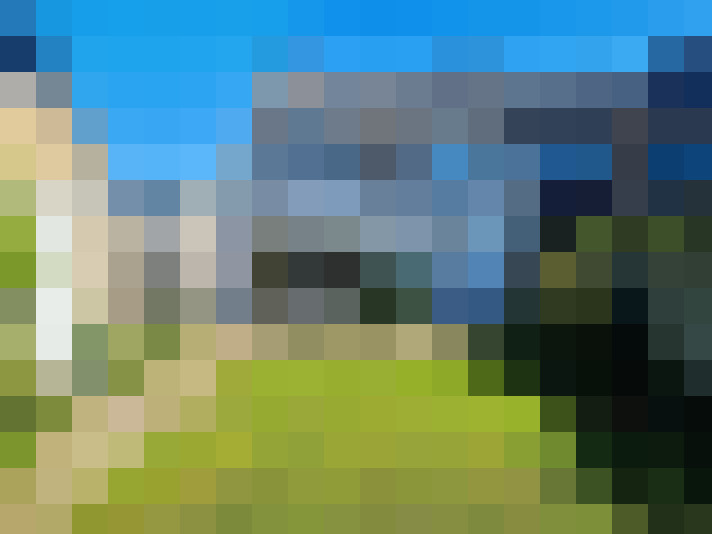  / #16