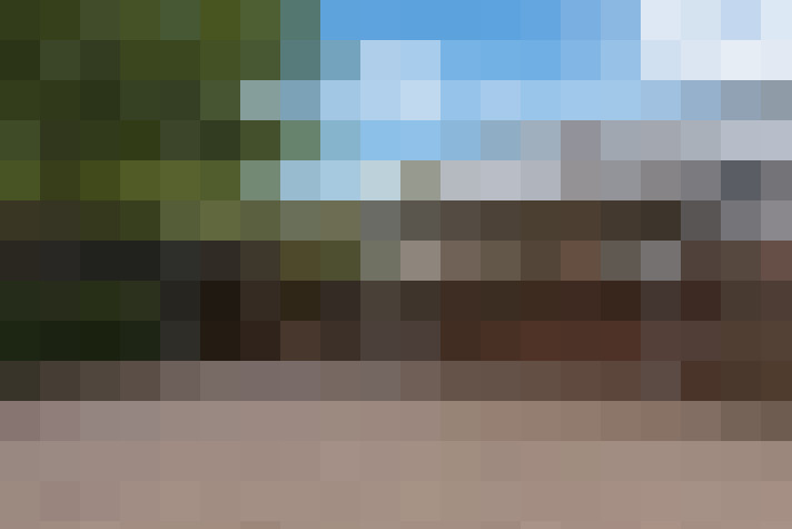  / #19