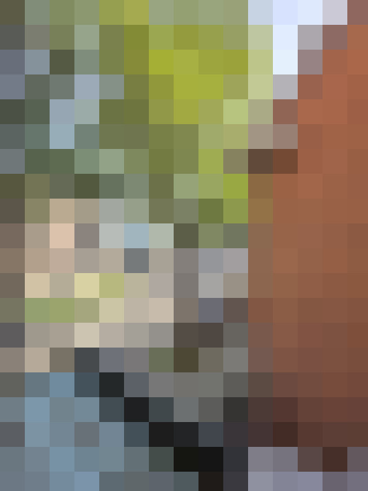  / #14
