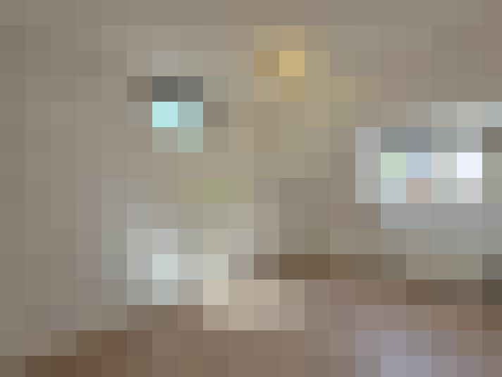  / #23