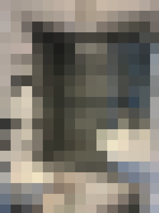 Image 13