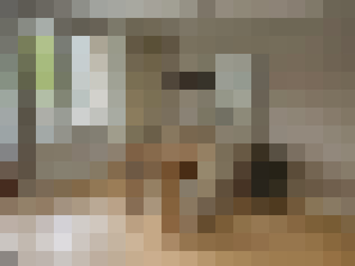 Image 20
