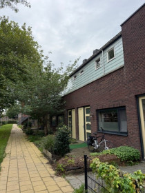 Dom — Hillegom