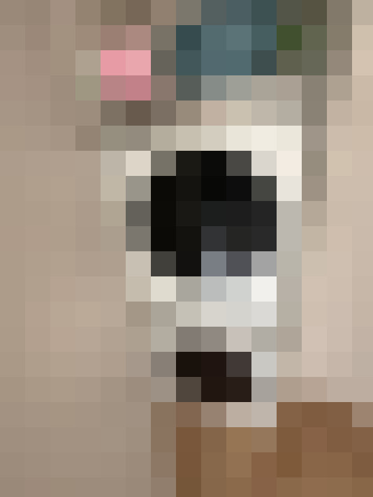  / #12