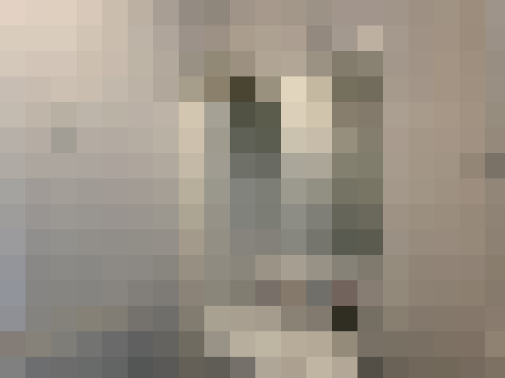 / #8