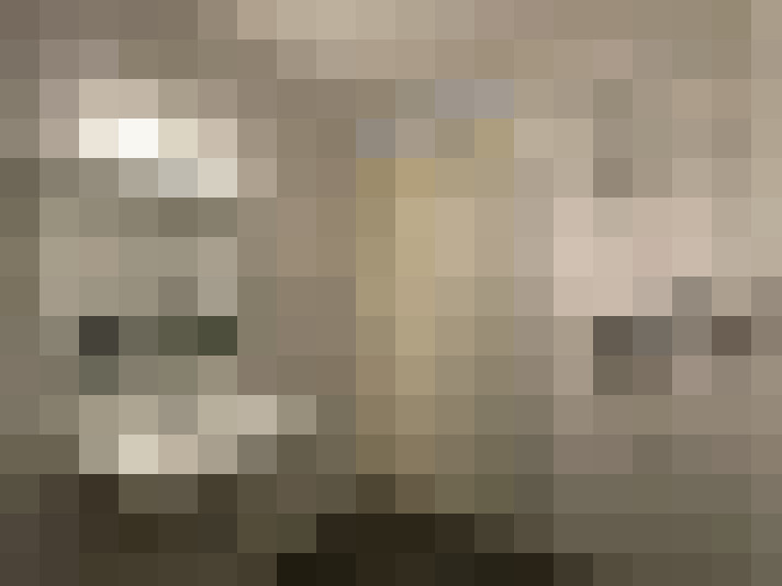  / #14
