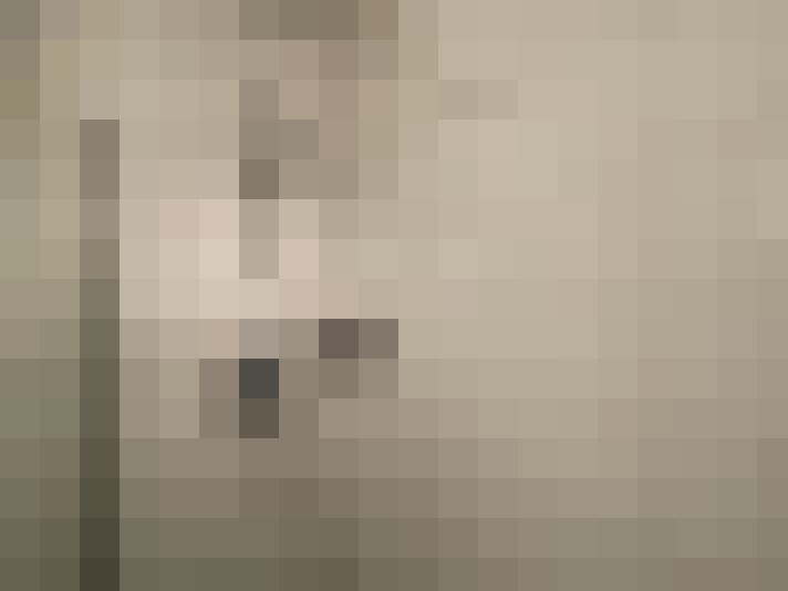 / #12